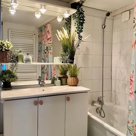 Le Temps D'un Passage, De Charme En Plein Centre Historique Apartmán Montpellier