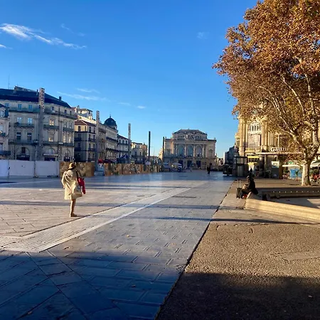 Le Temps D'un Passage, De Charme En Plein Centre Historique Montpellier